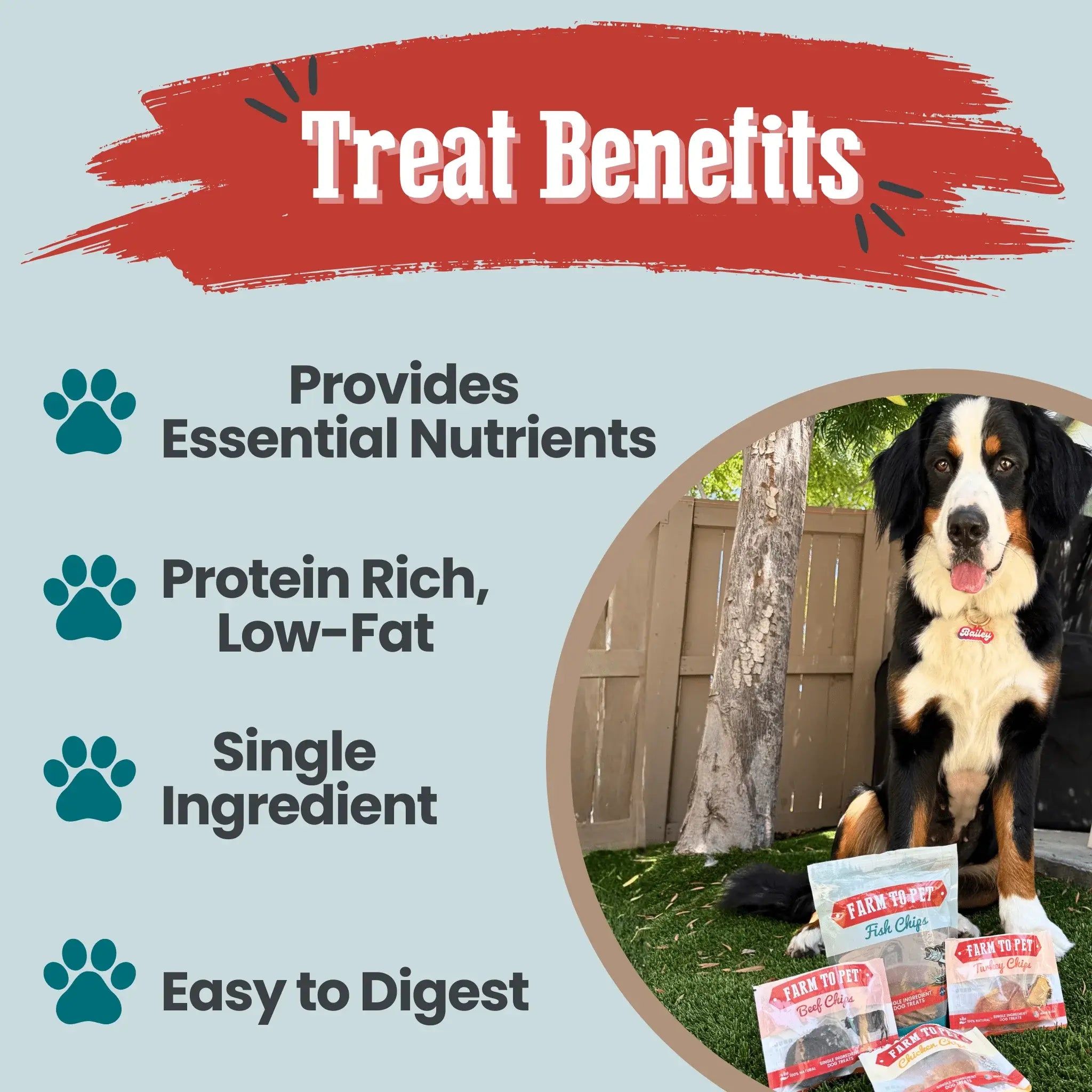 Puppy Packs 'n Snacks Dog Treat Starter Pack | Single-Ingredient Training Treats - Farm To Pet - Flyclothing LLC