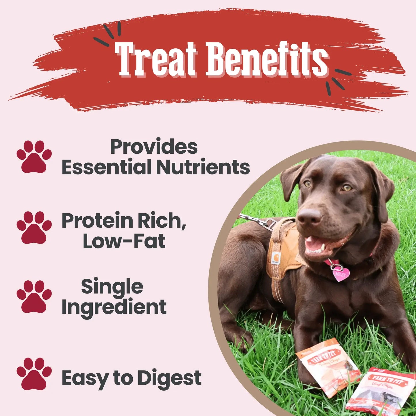 Puppy Packs 'n Snacks Dog Treat Starter Pack | Single-Ingredient Training Treats - Farm To Pet - Flyclothing LLC