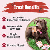 Puppy Packs 'n Snacks Dog Treat Starter Pack | Single-Ingredient Training Treats - Farm To Pet - Flyclothing LLC