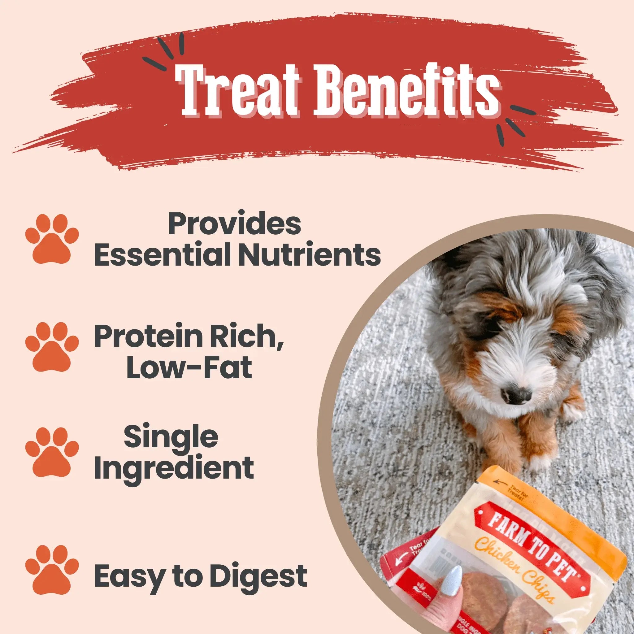 Puppy Packs 'n Snacks Dog Treat Starter Pack | Single-Ingredient Training Treats - Farm To Pet - Flyclothing LLC