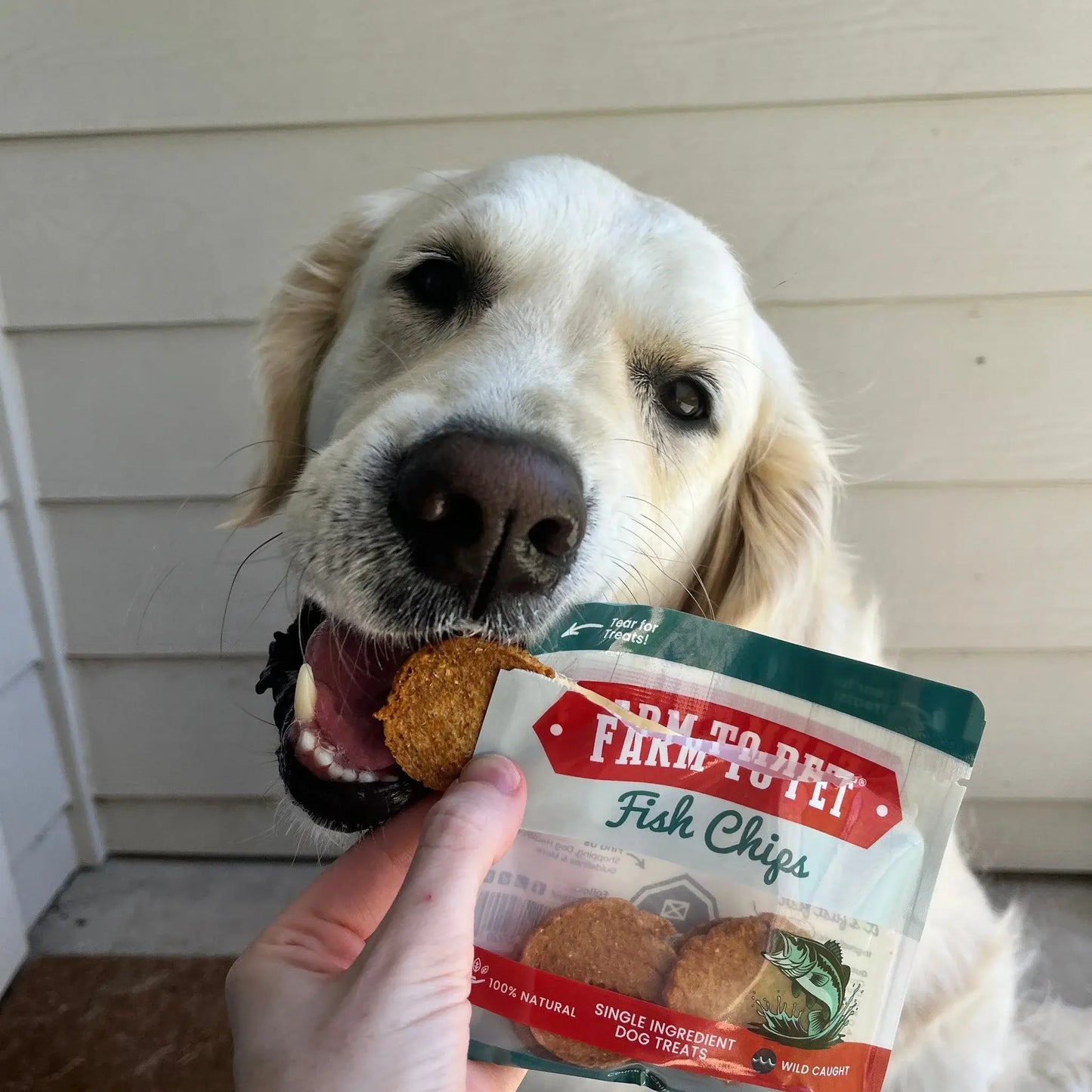 Snack Pack Dog Treat Sampler - Farm To Pet - Flyclothing LLC