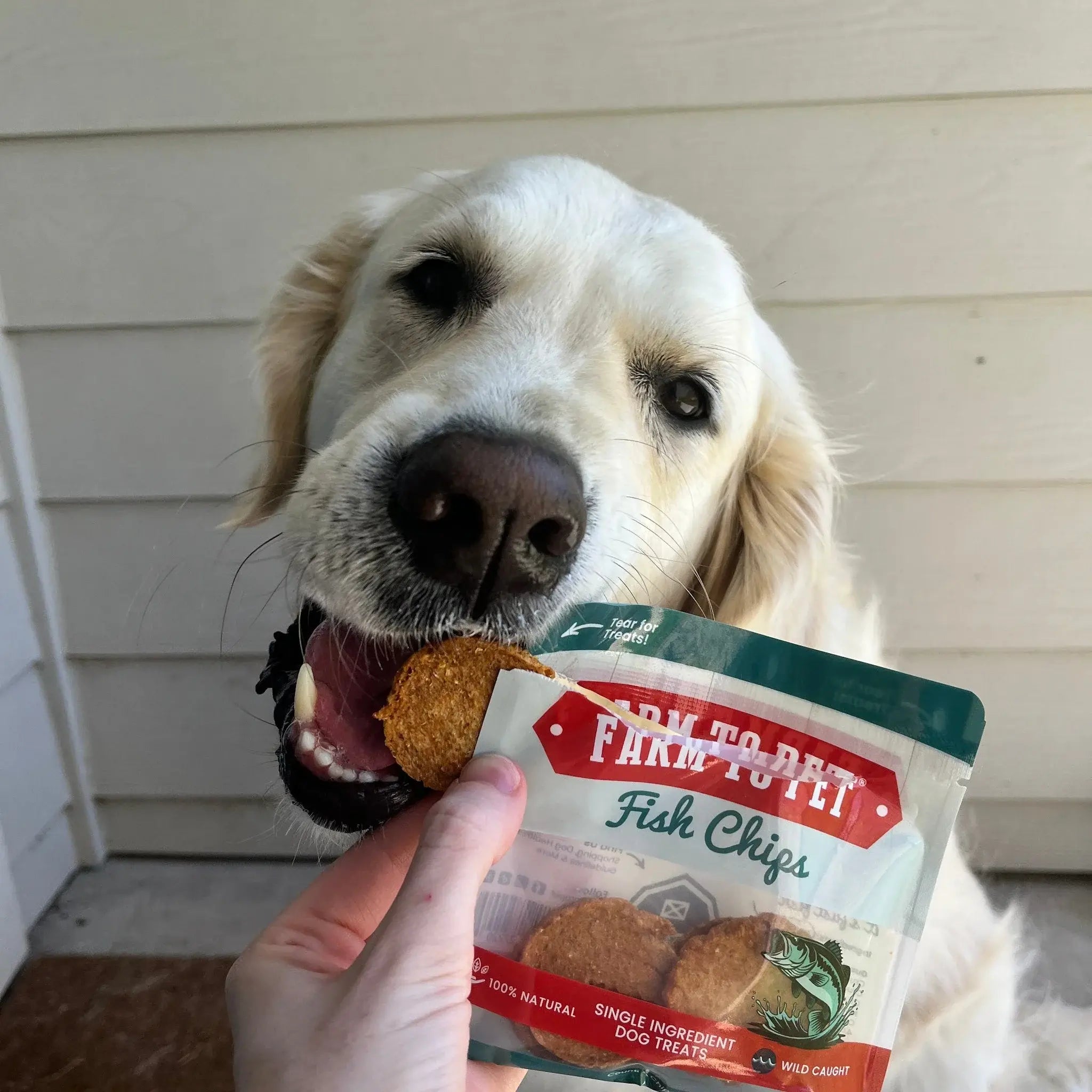 Snack Pack Dog Treat Sampler - Farm To Pet - Flyclothing LLC