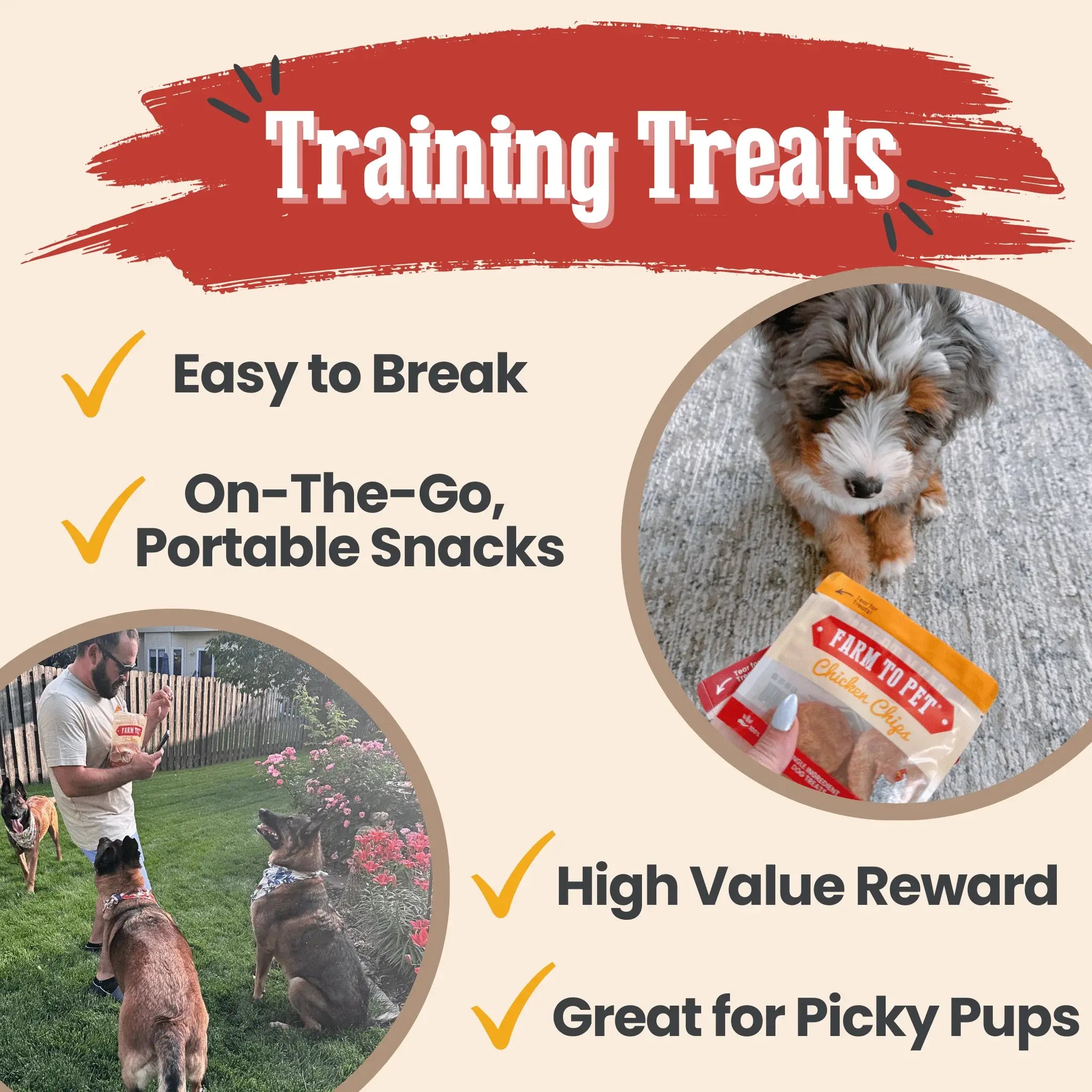 Snack Pack Dog Treat Sampler - Farm To Pet - Flyclothing LLC