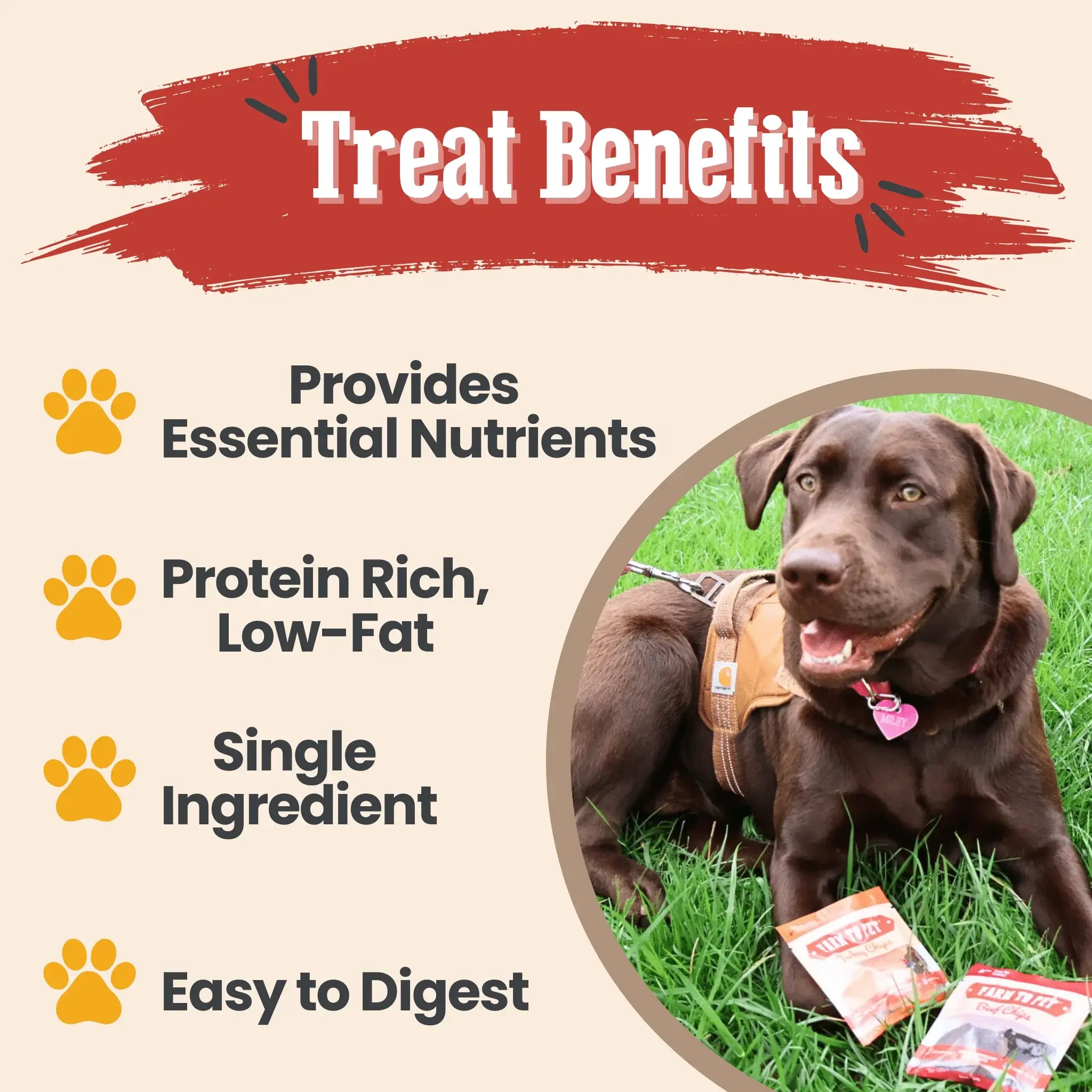 Snack Pack Dog Treat Sampler - Farm To Pet - Flyclothing LLC