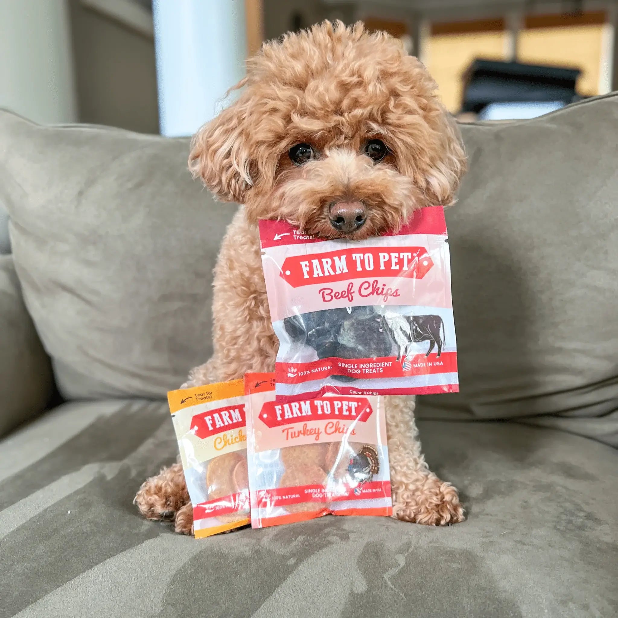 Snack Pack Dog Treat Sampler - Farm To Pet - Flyclothing LLC