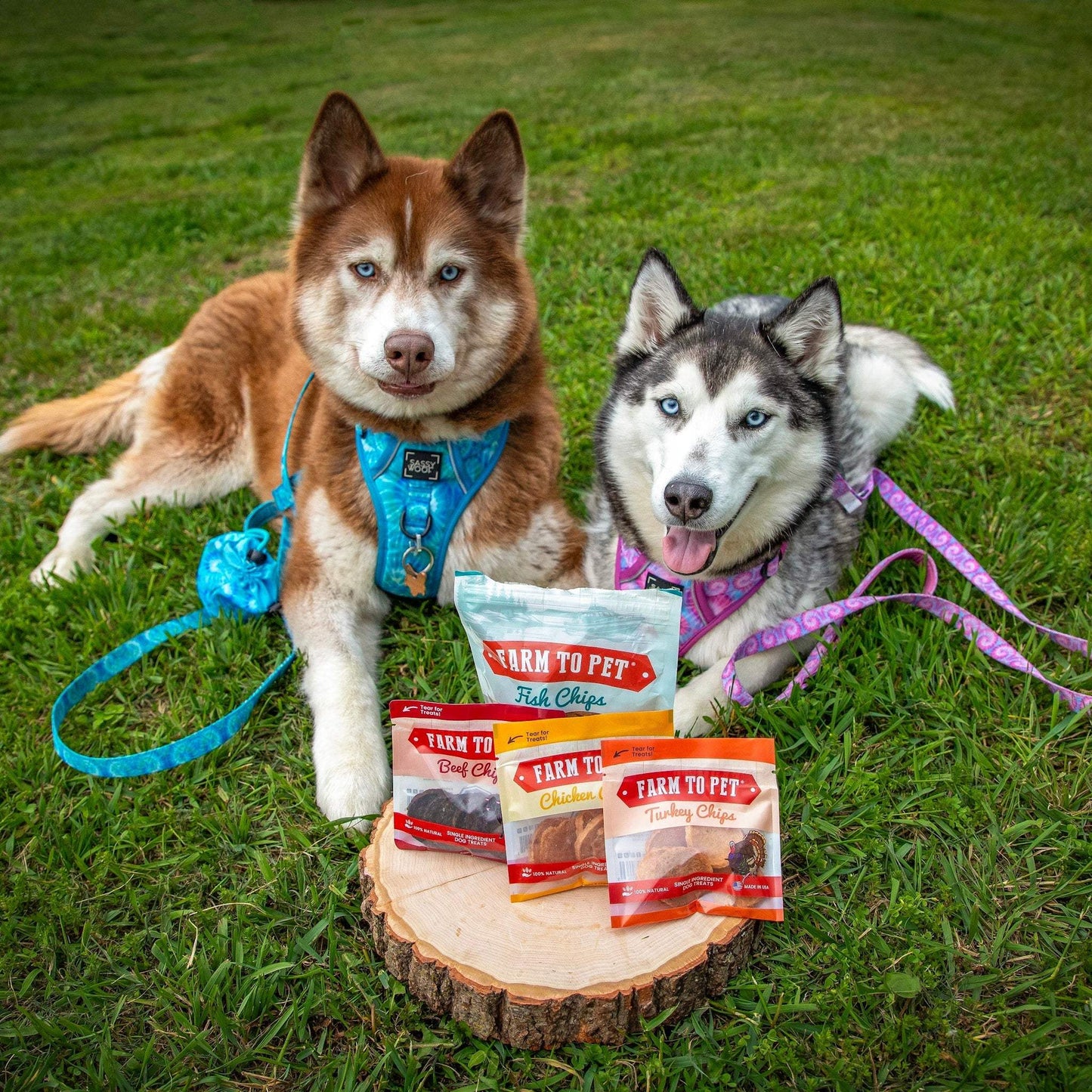 Puppy Packs 'n Snacks Dog Treat Starter Pack | Single-Ingredient Training Treats - Farm To Pet - Flyclothing LLC