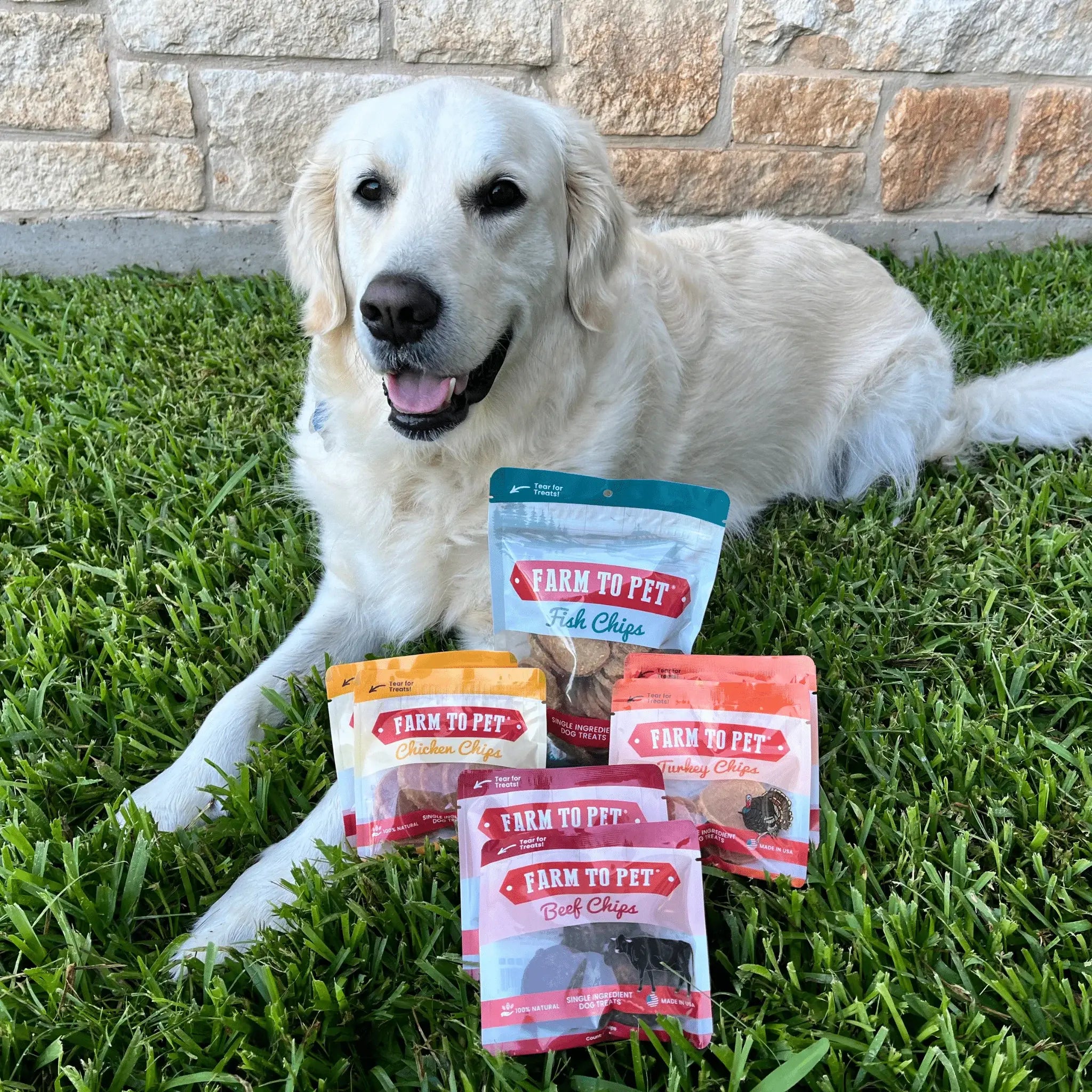 Puppy Packs 'n Snacks Dog Treat Starter Pack | Single-Ingredient Training Treats - Farm To Pet - Flyclothing LLC