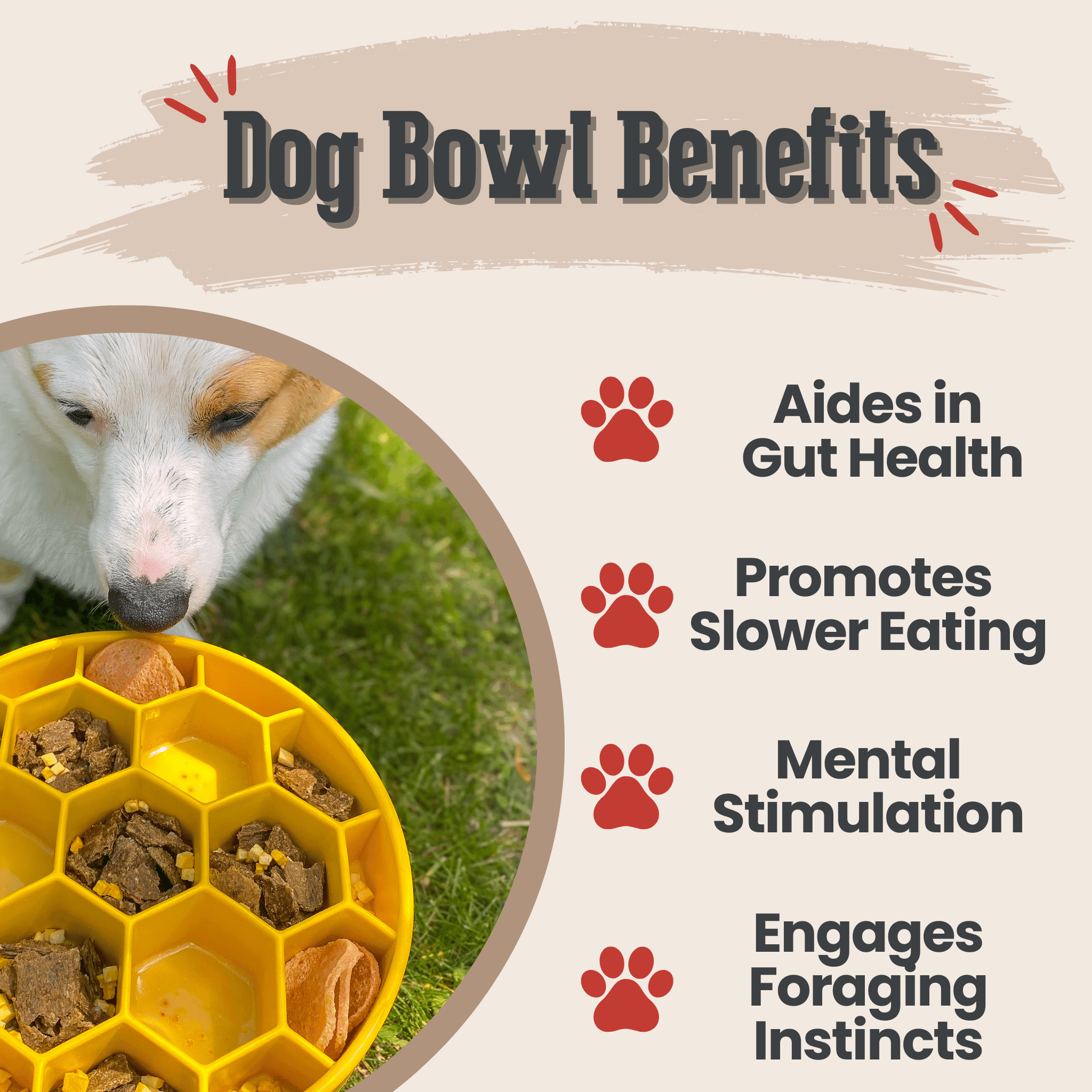 Slow Feeder Dog Bowls - Farm To Pet - Flyclothing LLC
