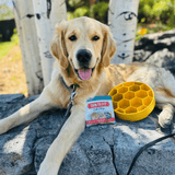 Slow Feeder Dog Bowls - Farm To Pet - Flyclothing LLC