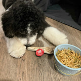 Reindeer Antler Dog Chews | Organic Chews for Dogs - Farm To Pet - Flyclothing LLC