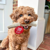 Elk Antler Dog Chews | All-Natural Whole and Split Elk Antler Chews for Dogs - Farm To Pet - Flyclothing LLC