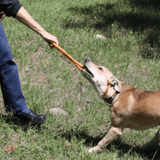 Chew Toys - Farm To Pet - Flyclothing LLC
