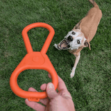 Chew Toys - Farm To Pet - Flyclothing LLC