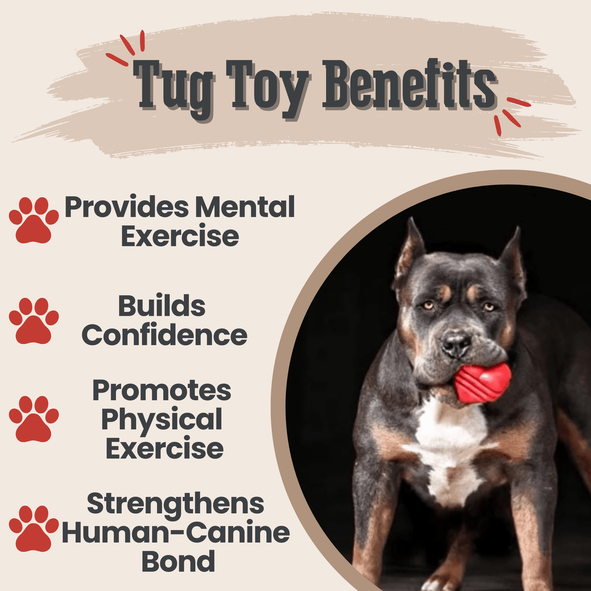 Chew Toys - Farm To Pet - Flyclothing LLC