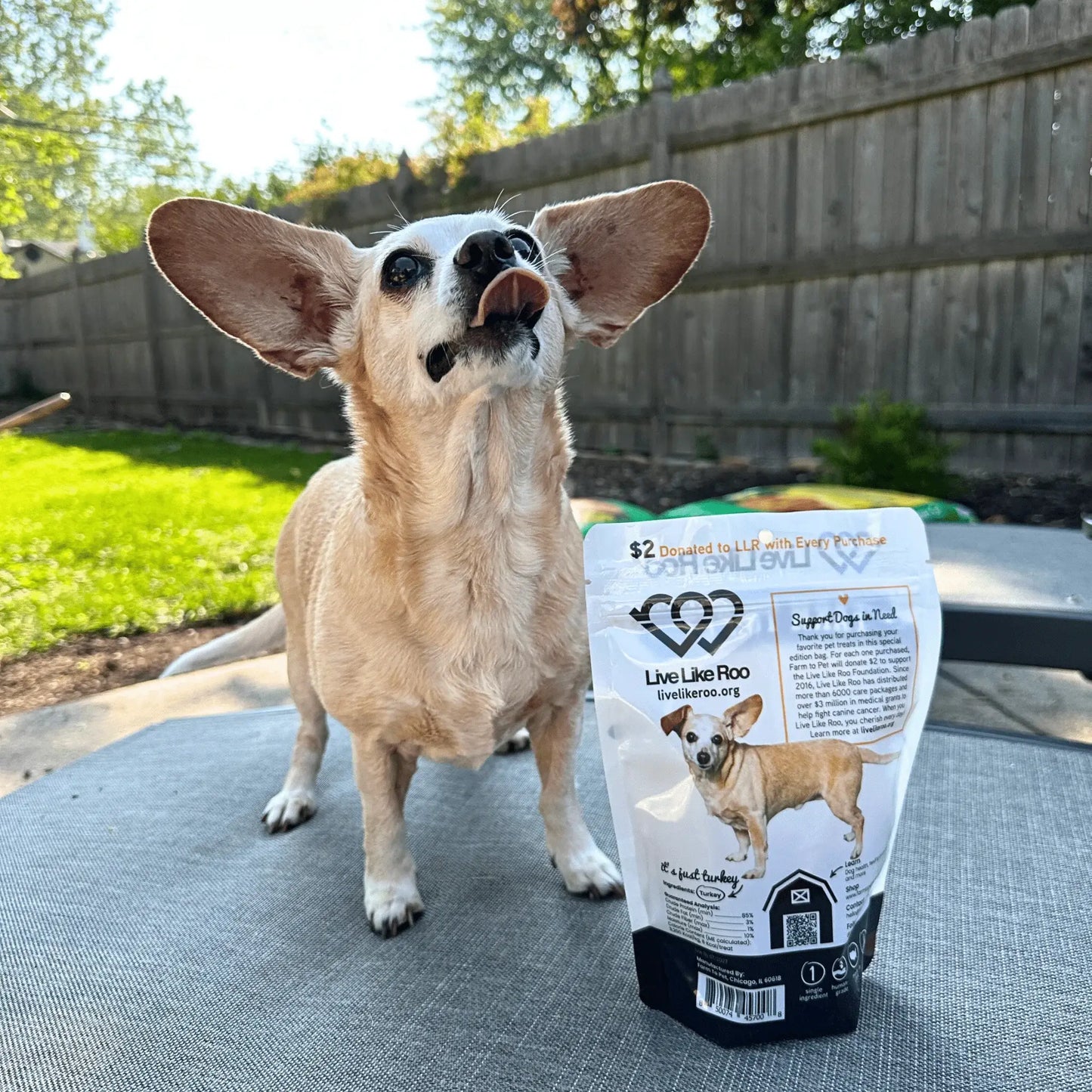 Live Like Roo Turkey Chips for Dogs | Dog Treats That Give Back - Farm To Pet - Flyclothing LLC