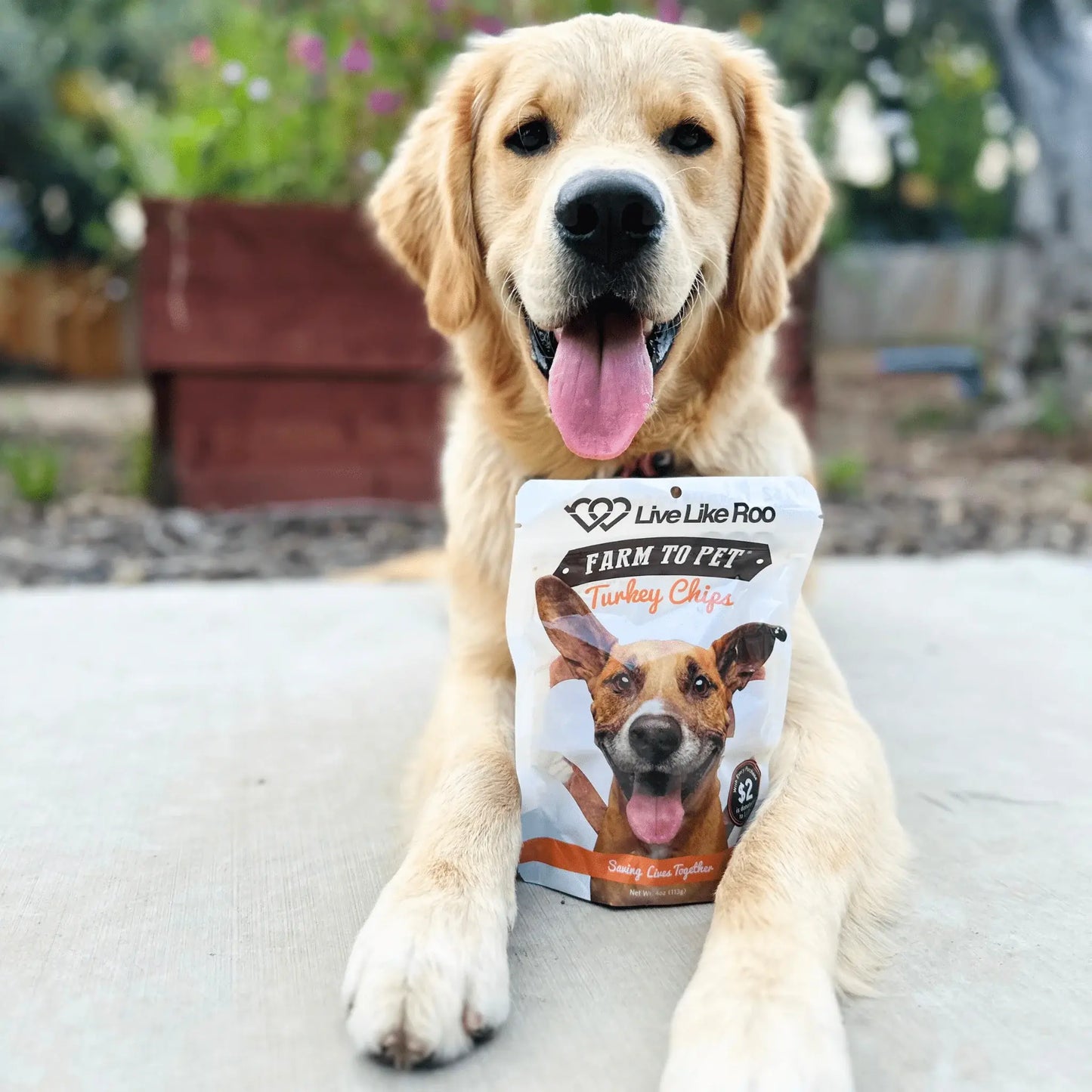 Live Like Roo Turkey Chips for Dogs | Dog Treats That Give Back - Farm To Pet - Flyclothing LLC