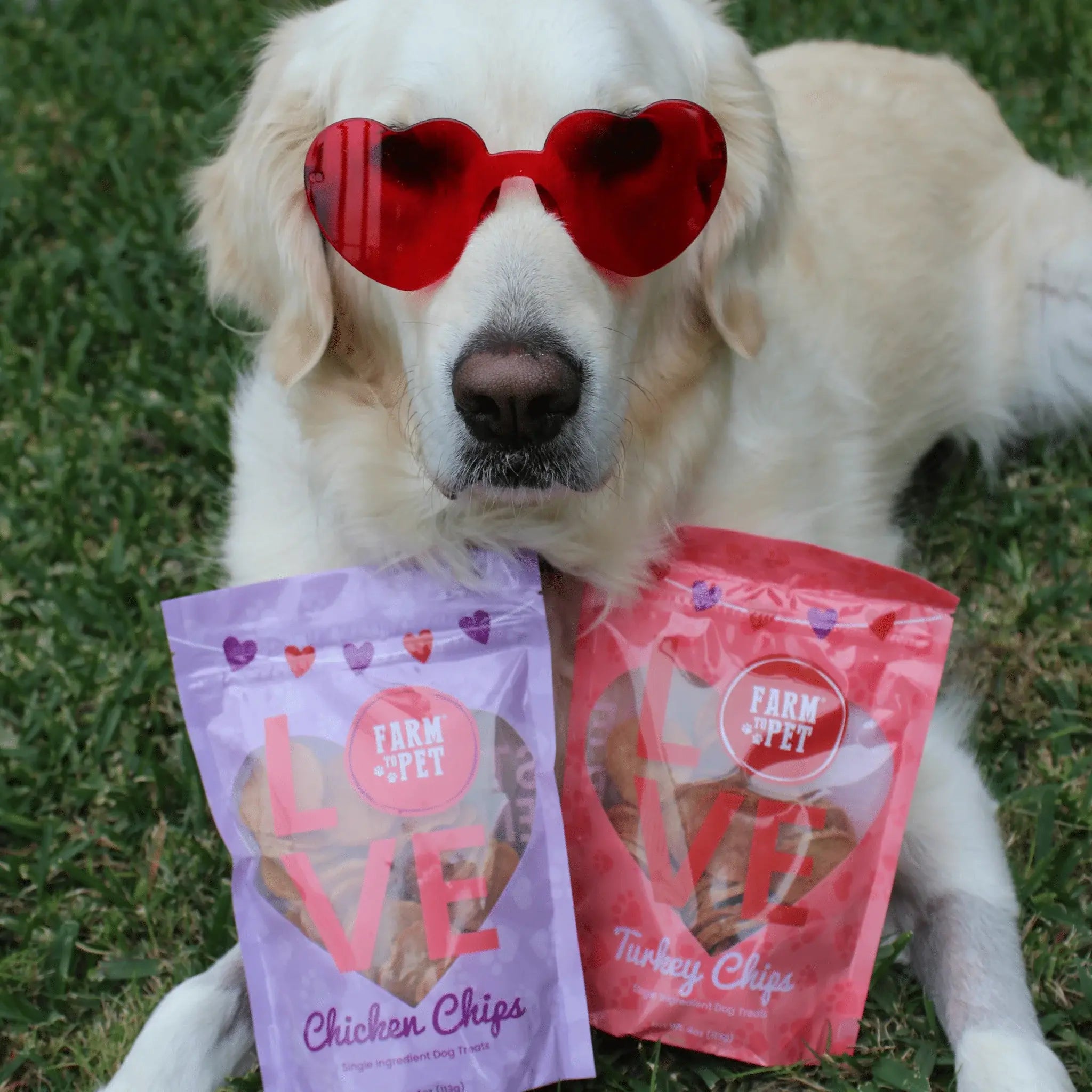 Puppy Love Dog Treat Duo | Poultry Chip Variety Pack - Farm To Pet - Flyclothing LLC