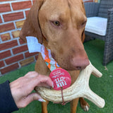Deer Antler Dog Chews | Organic Chews for Dogs - Farm To Pet - Flyclothing LLC