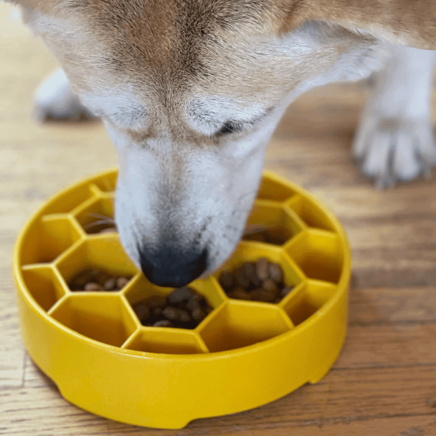 Slow Feeder Dog Bowls - Farm To Pet - Flyclothing LLC