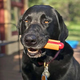 Chew Toys - Farm To Pet - Flyclothing LLC