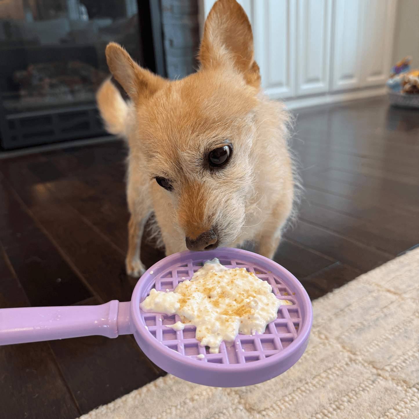 Lick Sticks | Interactive Dog Training Toy - Farm To Pet - Flyclothing LLC