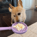Lick Sticks | Interactive Dog Training Toy - Farm To Pet - Flyclothing LLC