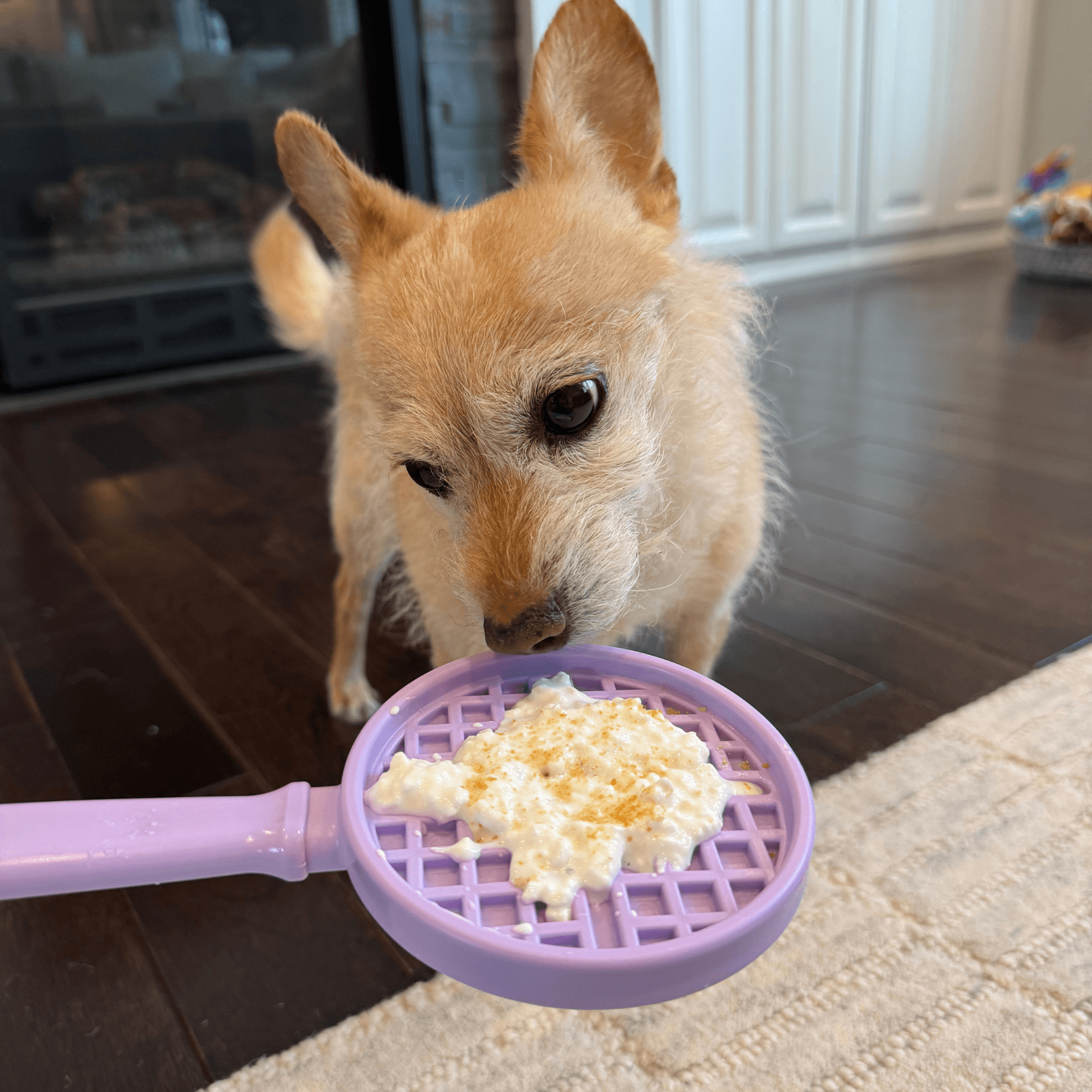 Lick Sticks | Interactive Dog Training Toy - Farm To Pet - Flyclothing LLC