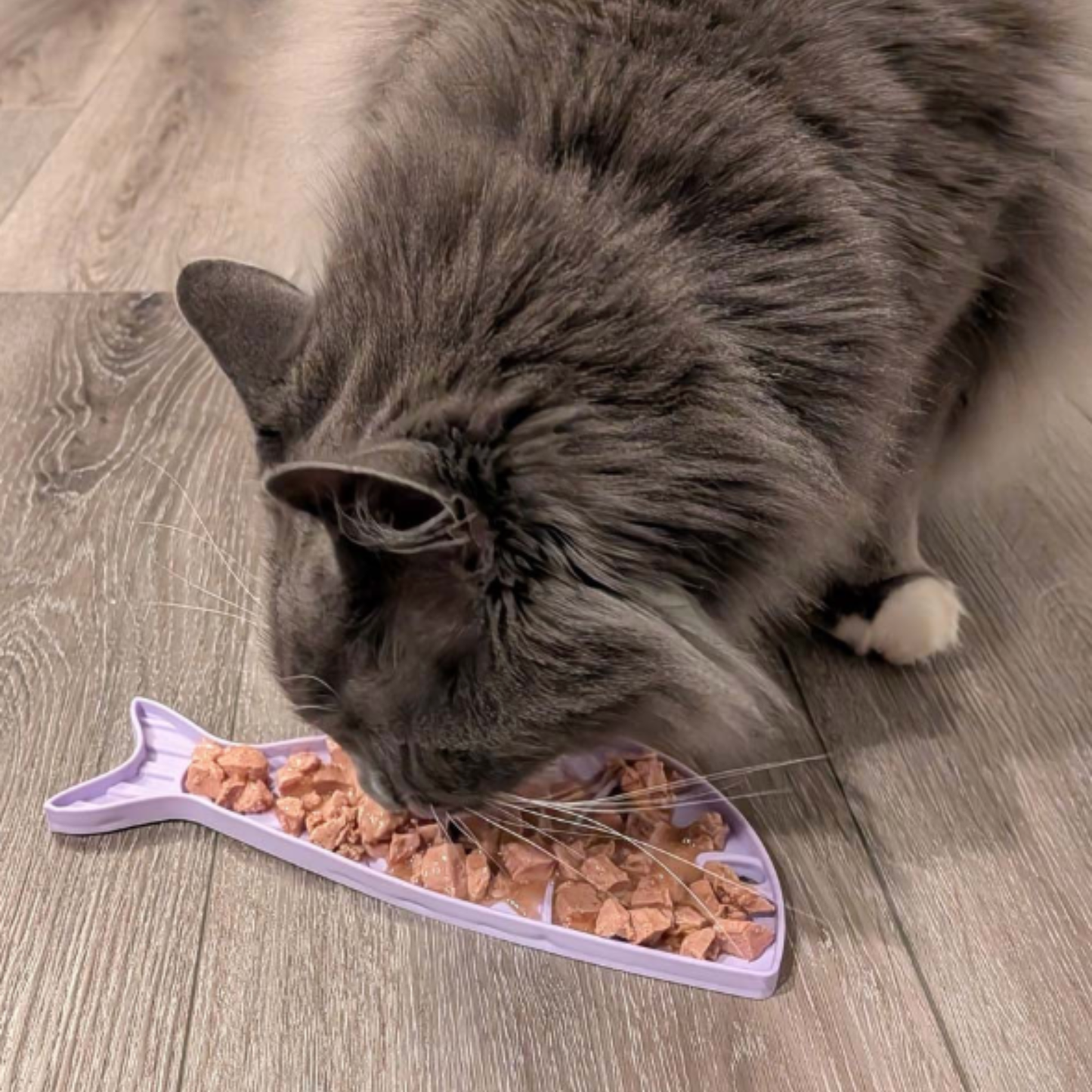 Lick Mats for Cats and Small Dogs - Farm To Pet - Flyclothing LLC