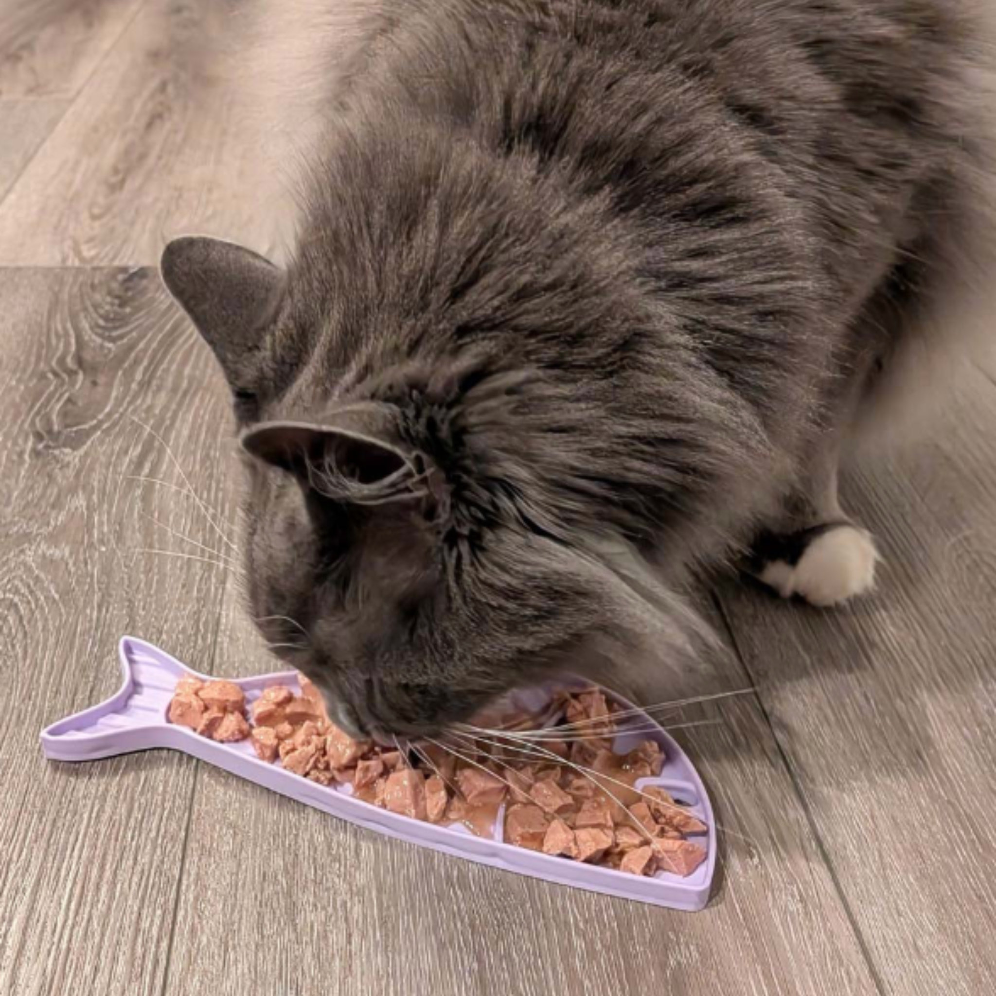 Lick Mats for Cats and Small Dogs - Farm To Pet - Flyclothing LLC