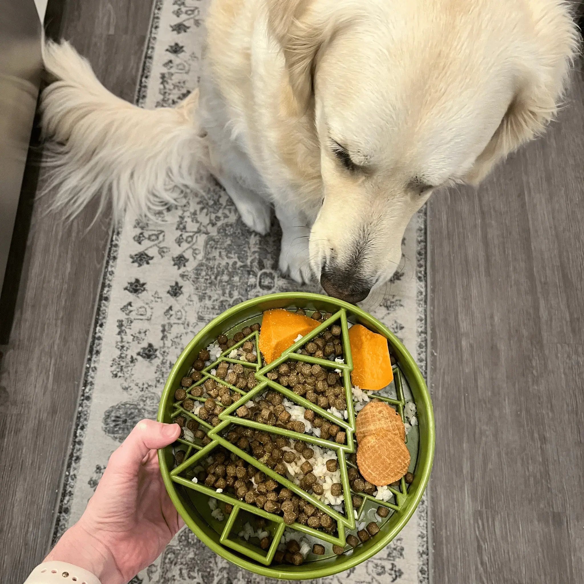 Slow Feeder Dog Bowls - Farm To Pet - Flyclothing LLC
