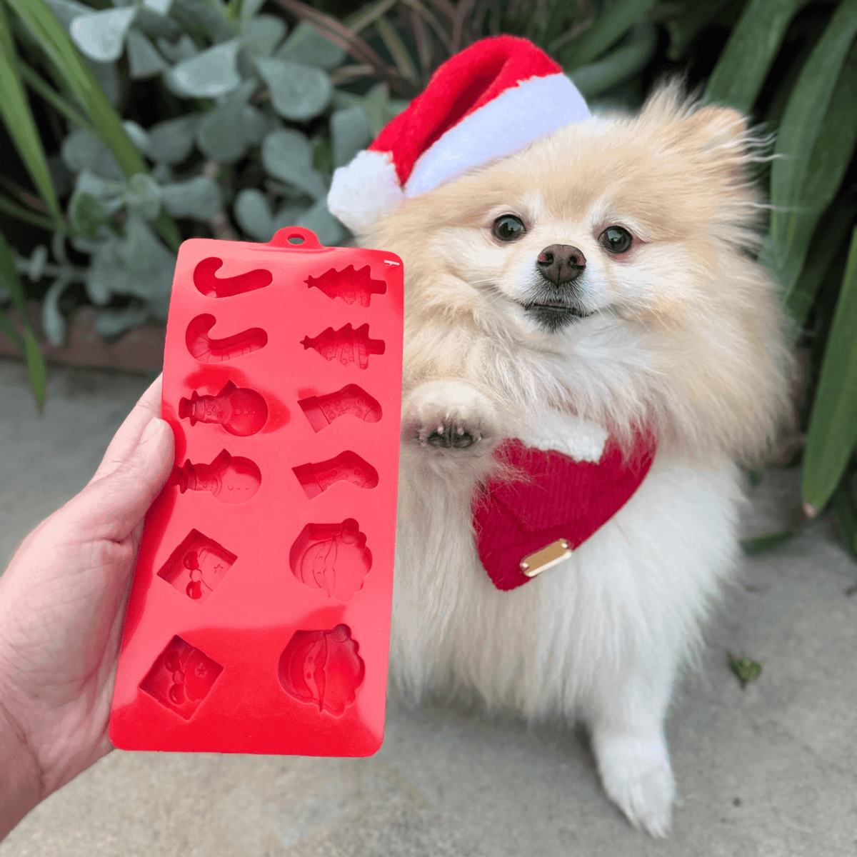 Pet Treat Molds - Farm To Pet - Flyclothing LLC