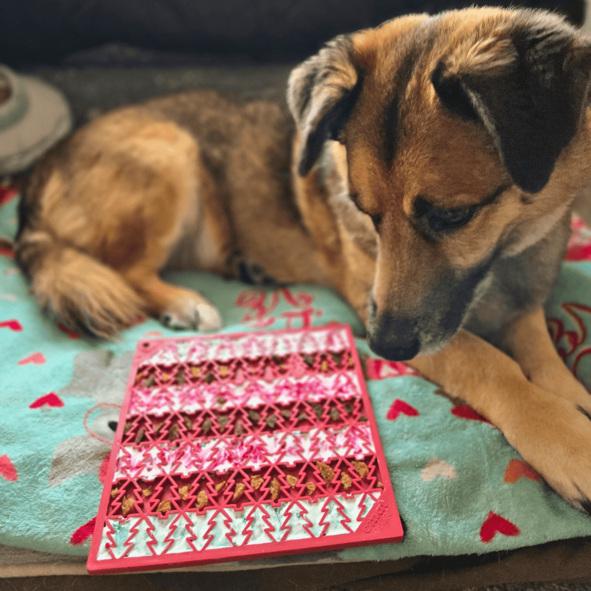 Dog Lick Mats - Farm To Pet - Flyclothing LLC