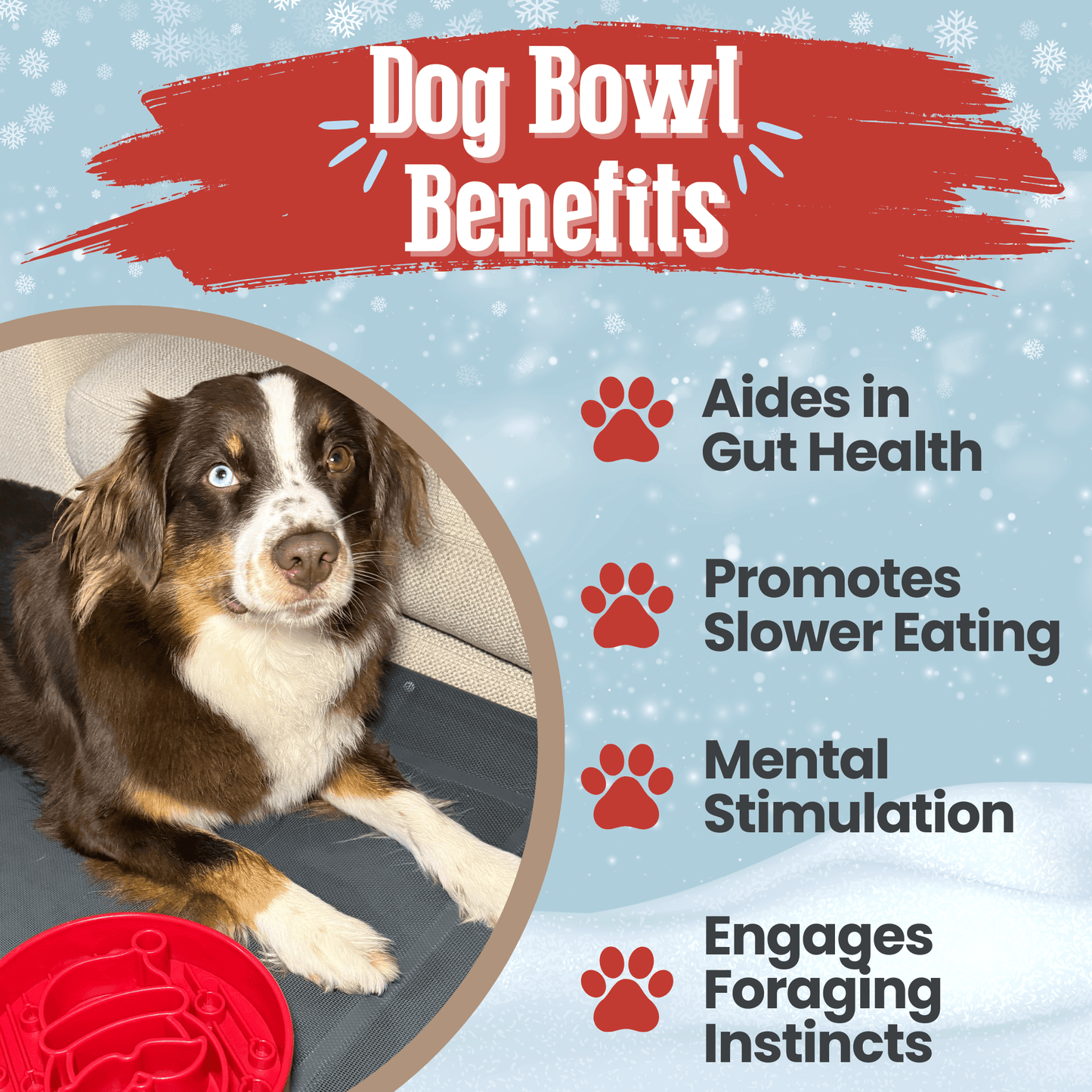 Slow Feeder Dog Bowls - Farm To Pet - Flyclothing LLC