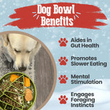Slow Feeder Dog Bowls - Farm To Pet - Flyclothing LLC