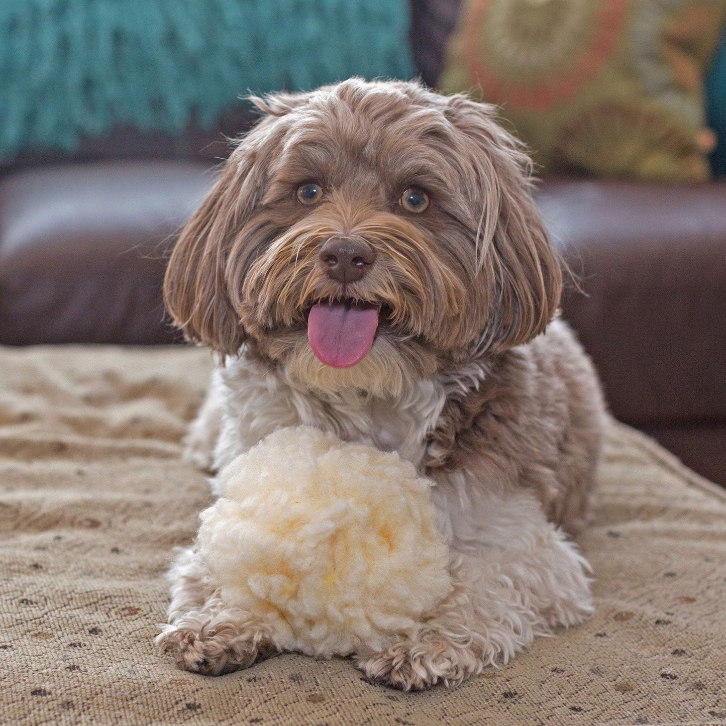 HuggleFleece® Plush Ball Dog Toy - HuggleHounds - Flyclothing LLC
