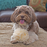 HuggleFleece® Plush Ball Dog Toy - HuggleHounds - Flyclothing LLC