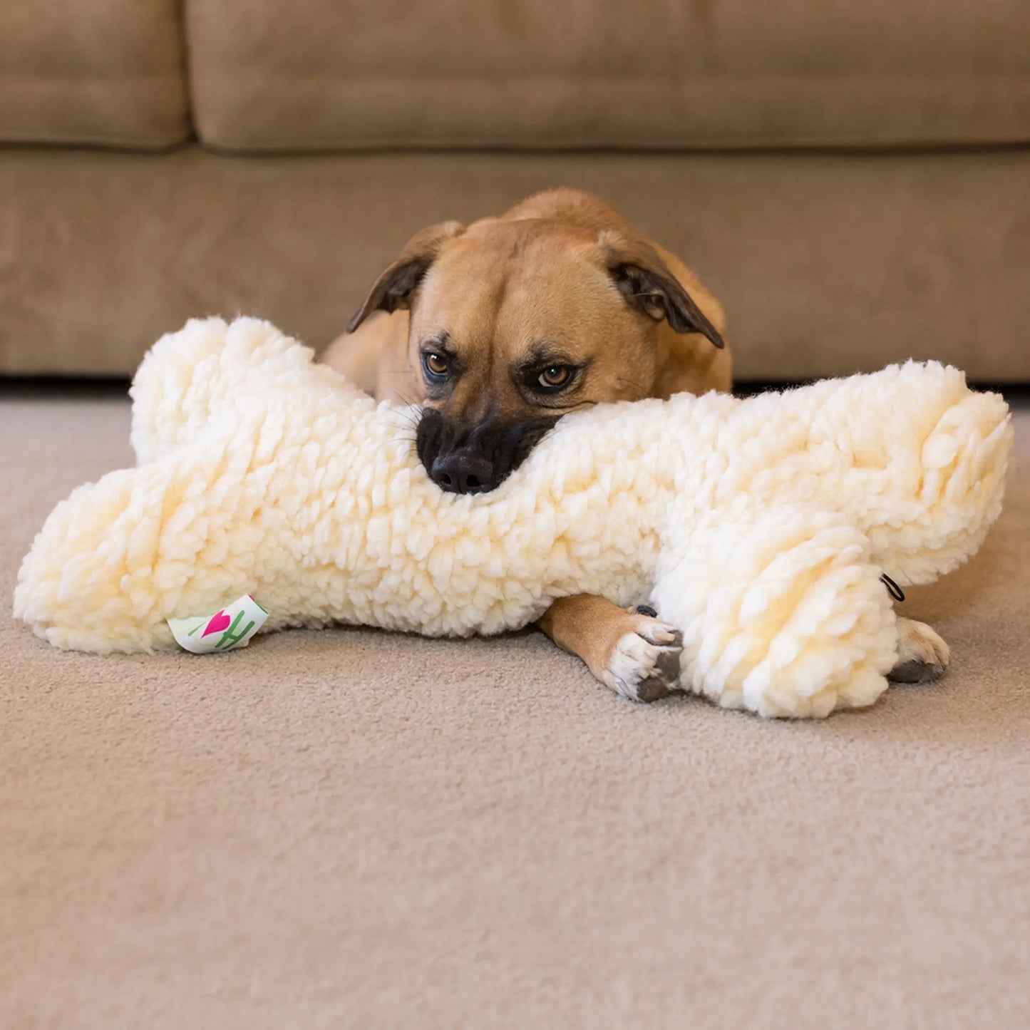 HuggleFleece® 2' Plush Bone Dog Toy - HuggleHounds - Flyclothing LLC