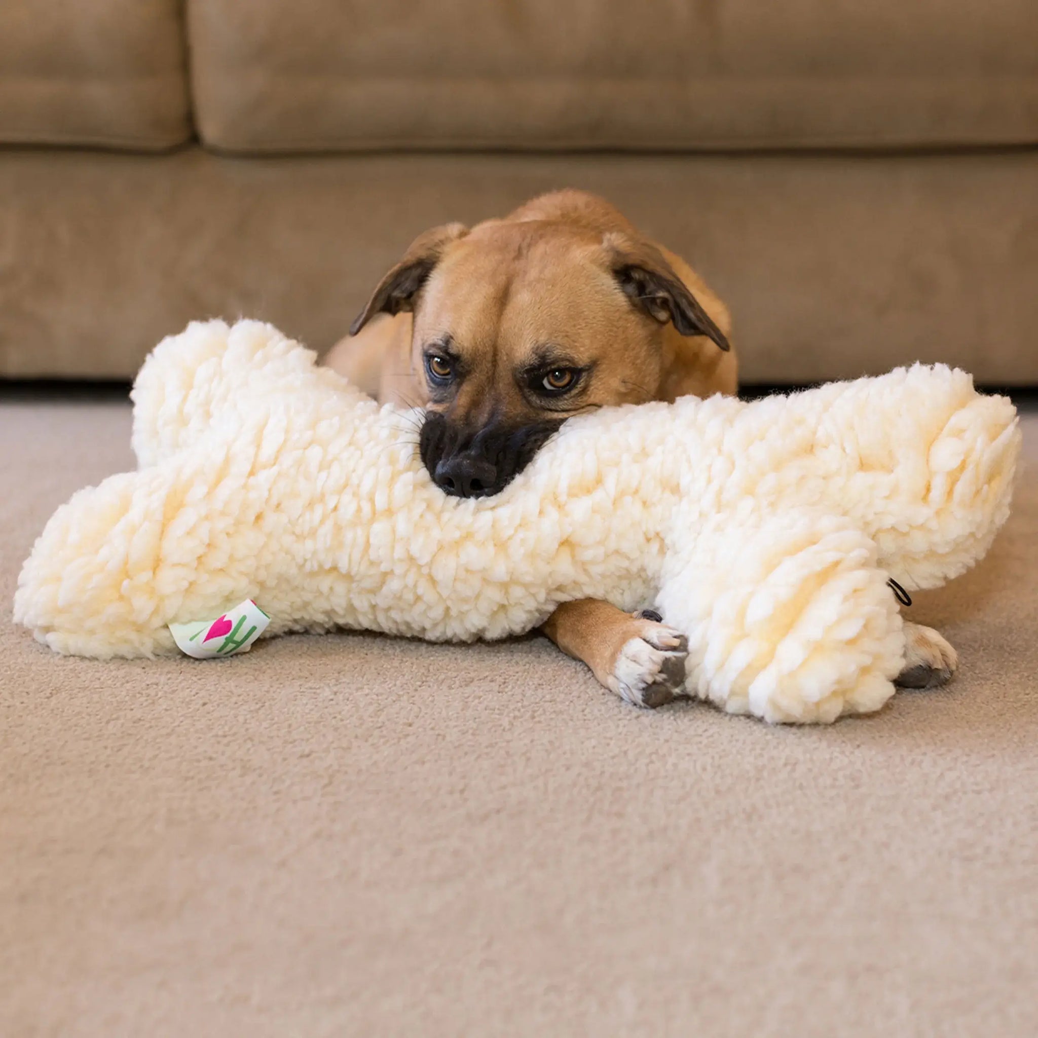 HuggleFleece® 2' Plush Bone Dog Toy - HuggleHounds - Flyclothing LLC