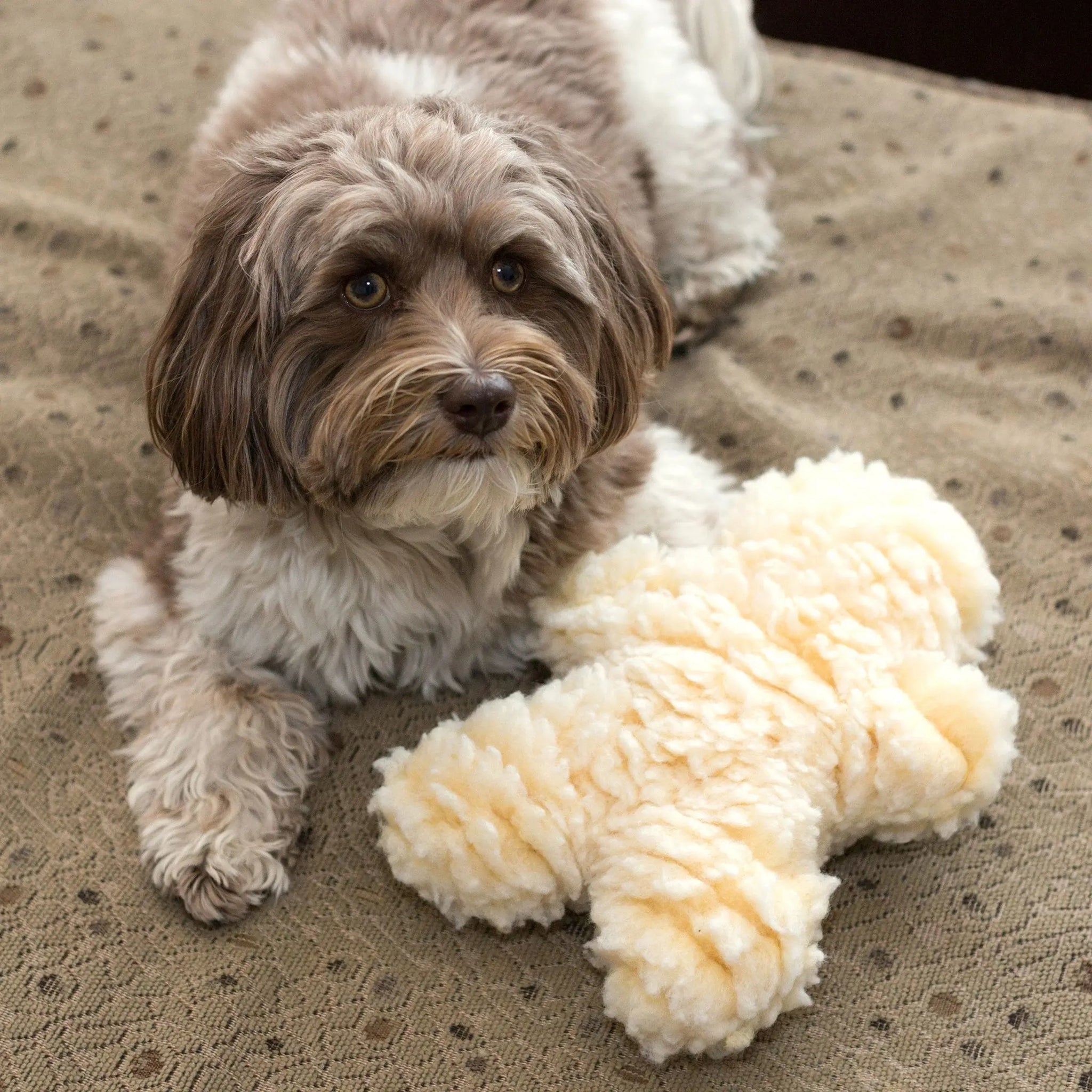 HuggleFleece® Man Plush Dog Toy, Regular - HuggleHounds - Flyclothing LLC