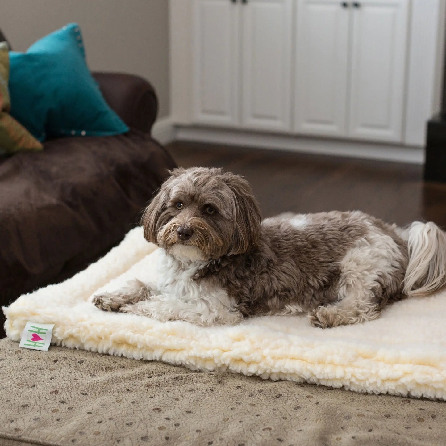 HuggleFleece® Mat Cat & Dog Bed - HuggleHounds - Flyclothing LLC
