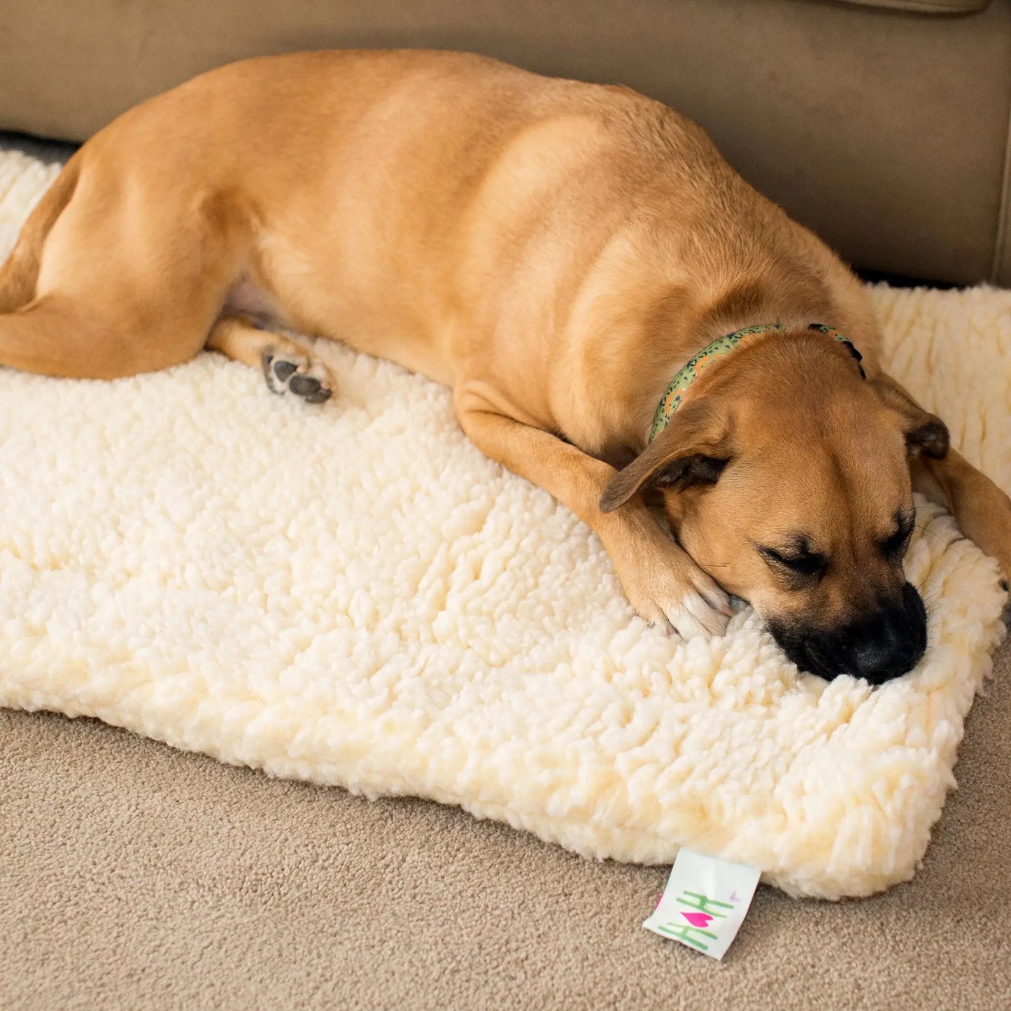 HuggleFleece® Mat Cat & Dog Bed - HuggleHounds - Flyclothing LLC