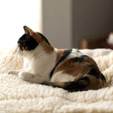 HuggleFleece® Mat Cat & Dog Bed - HuggleHounds - Flyclothing LLC