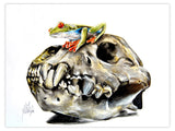 Black Market Art Company Frog On Skull Print