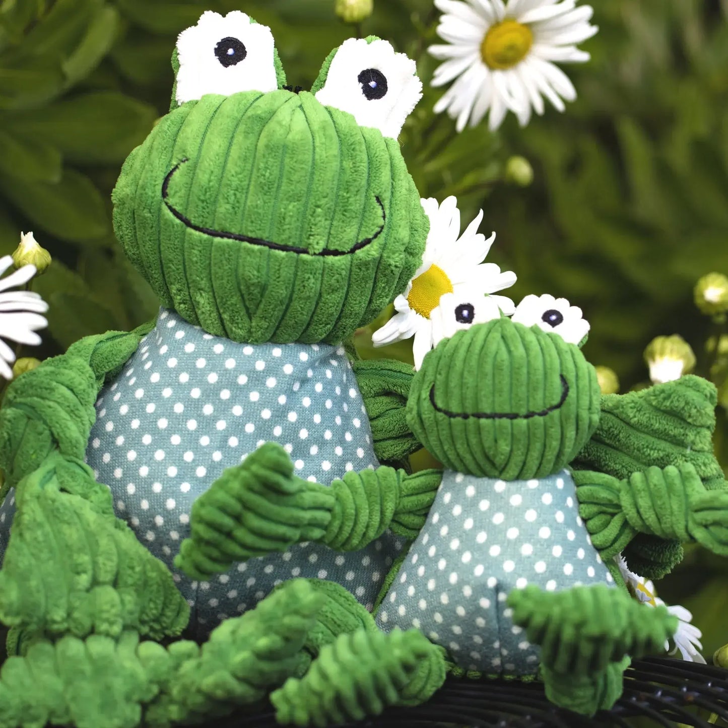 Fergie Frog Knottie® Plush Dog Toy - HuggleHounds - Flyclothing LLC