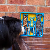 Waiting Dogs eTray - Shallow Slow Feeder Bowl for Enrichment | USA Made - SodaPup/True Dogs, LLC - Flyclothing LLC