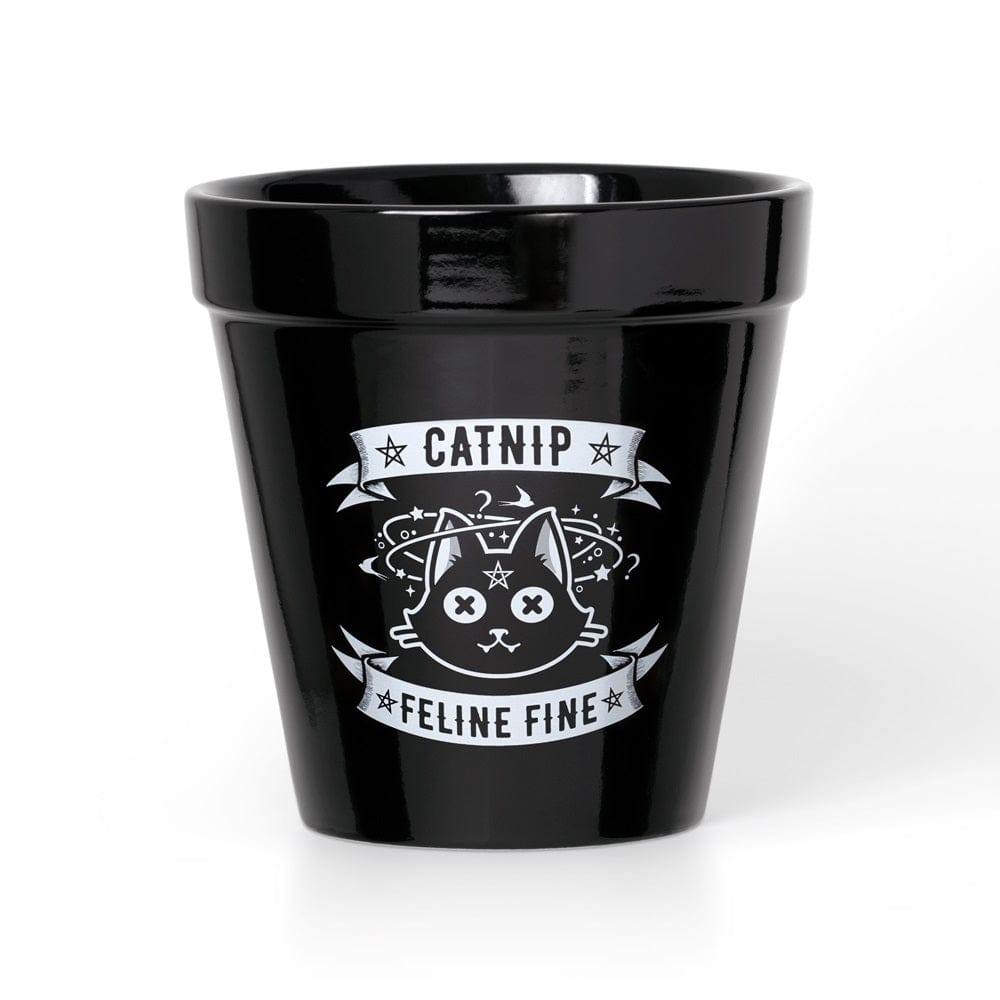 Alchemy Gothic Catnip Plant Pot - Alchemy Gothic