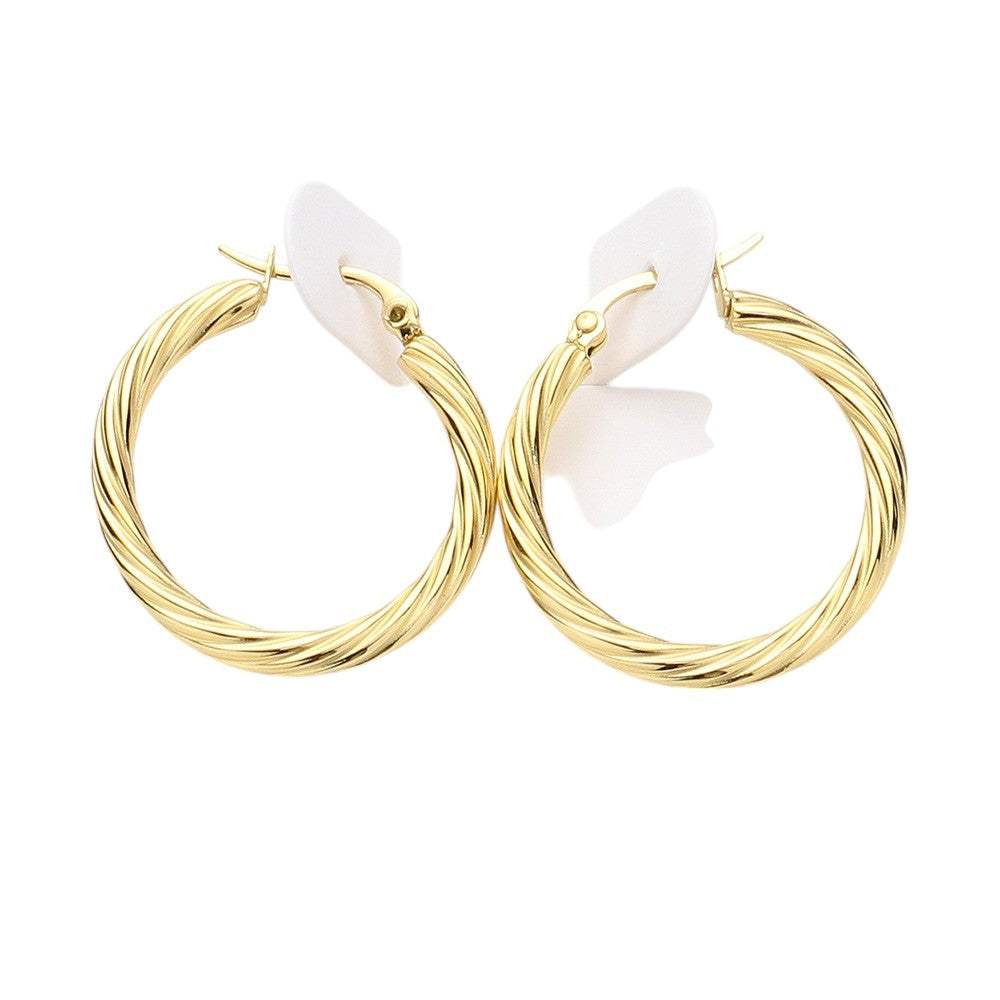 Twisted Stainless Steel Hoop Pin Catch Earrings - Madeline Love - Flyclothing LLC