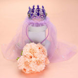 Birthday Crown Veil Headband - Madeline Love - Flyclothing LLC