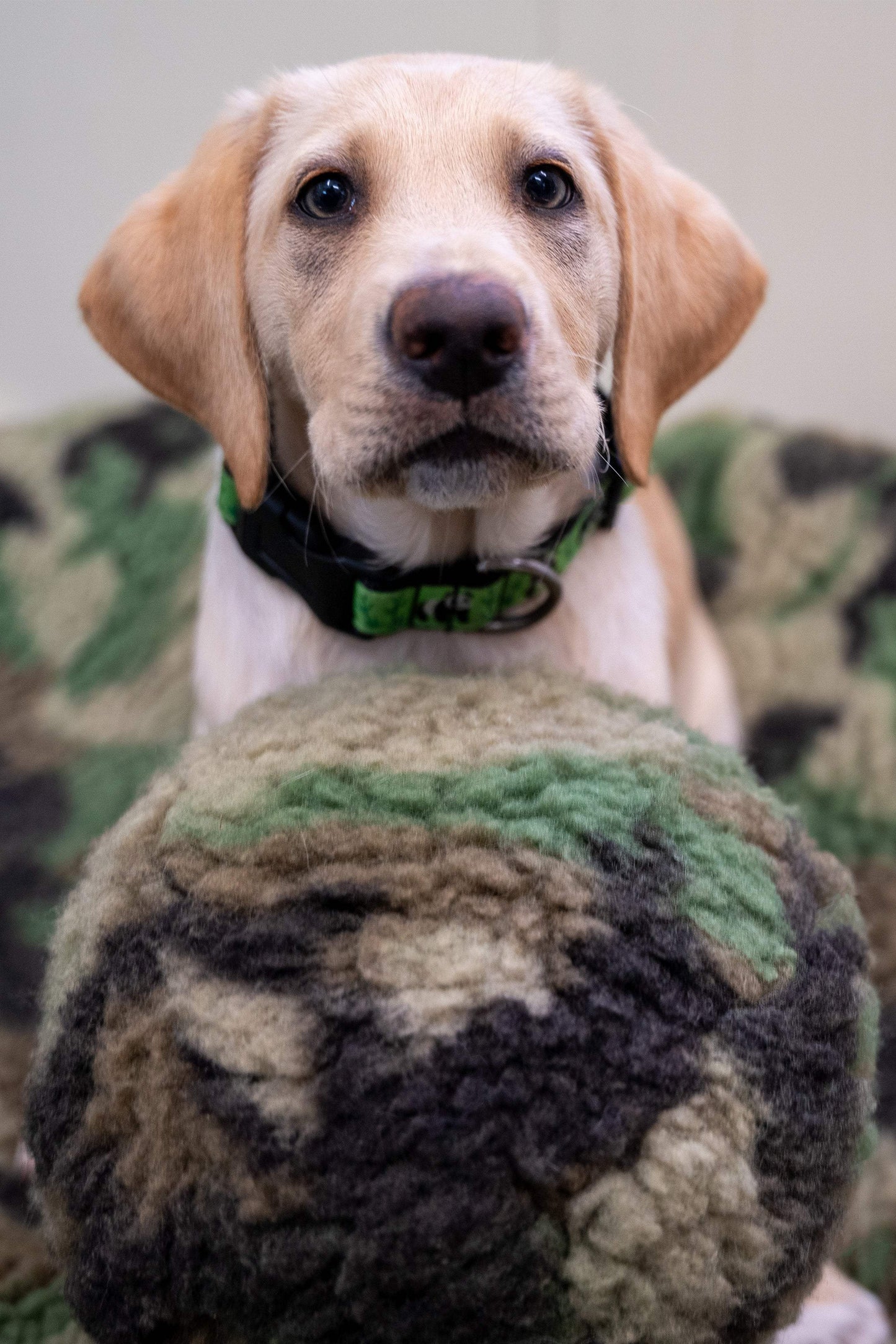 HuggleCause™, Warrior Canine Connection, Camouflage HuggleFleece® Plush Ball Dog Toy - HuggleHounds - Flyclothing LLC