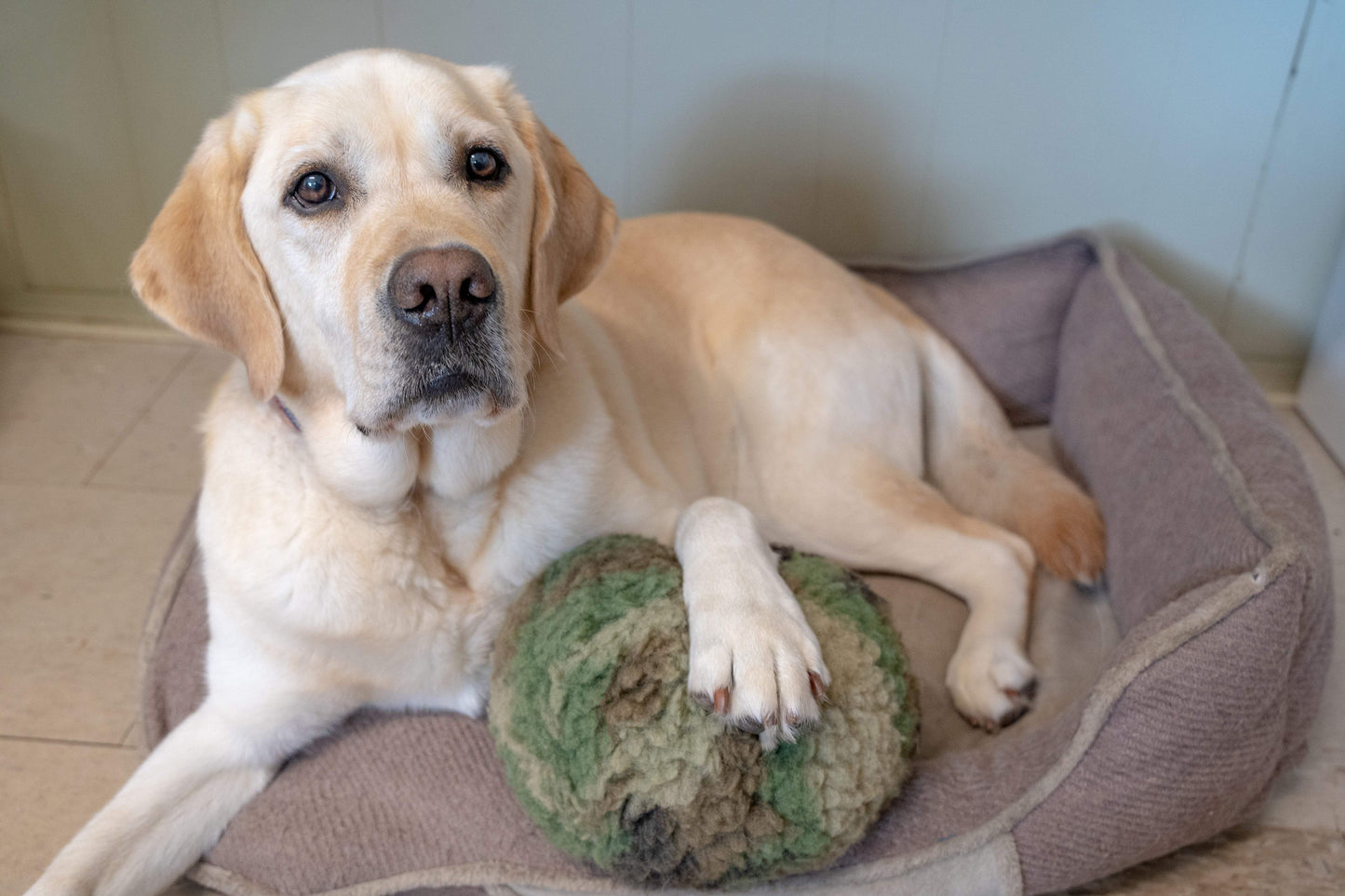 HuggleCause™, Warrior Canine Connection, Camouflage HuggleFleece® Plush Ball Dog Toy - HuggleHounds - Flyclothing LLC